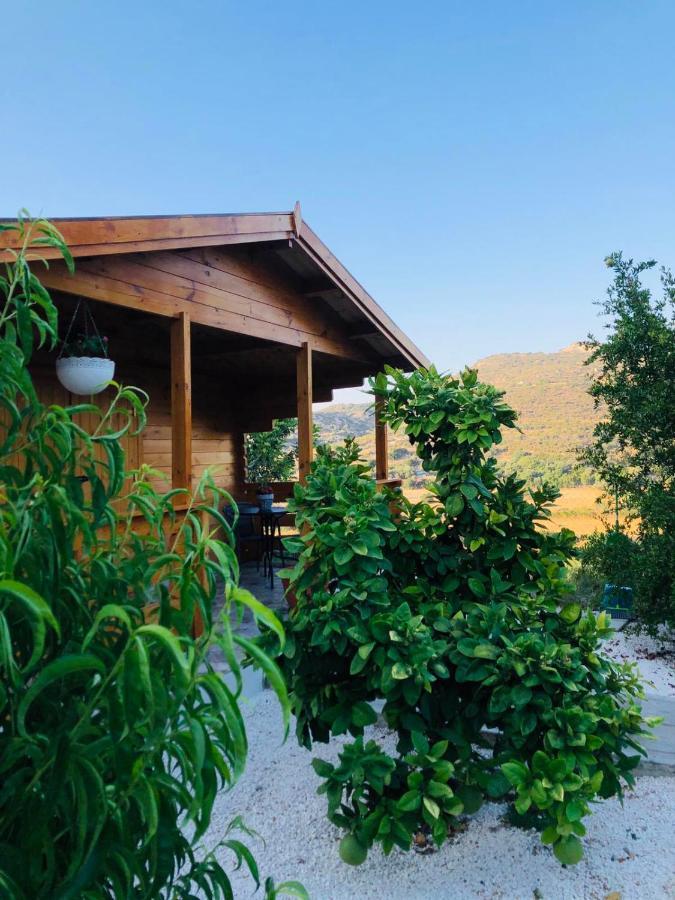 Villa Happy Glamping Cy à Agios Theodoros Extérieur photo