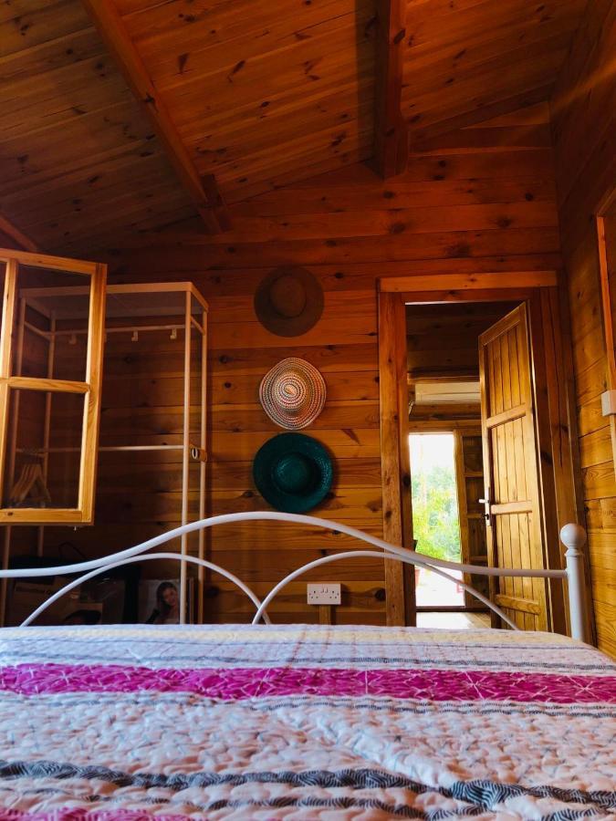 Villa Happy Glamping Cy à Agios Theodoros Extérieur photo