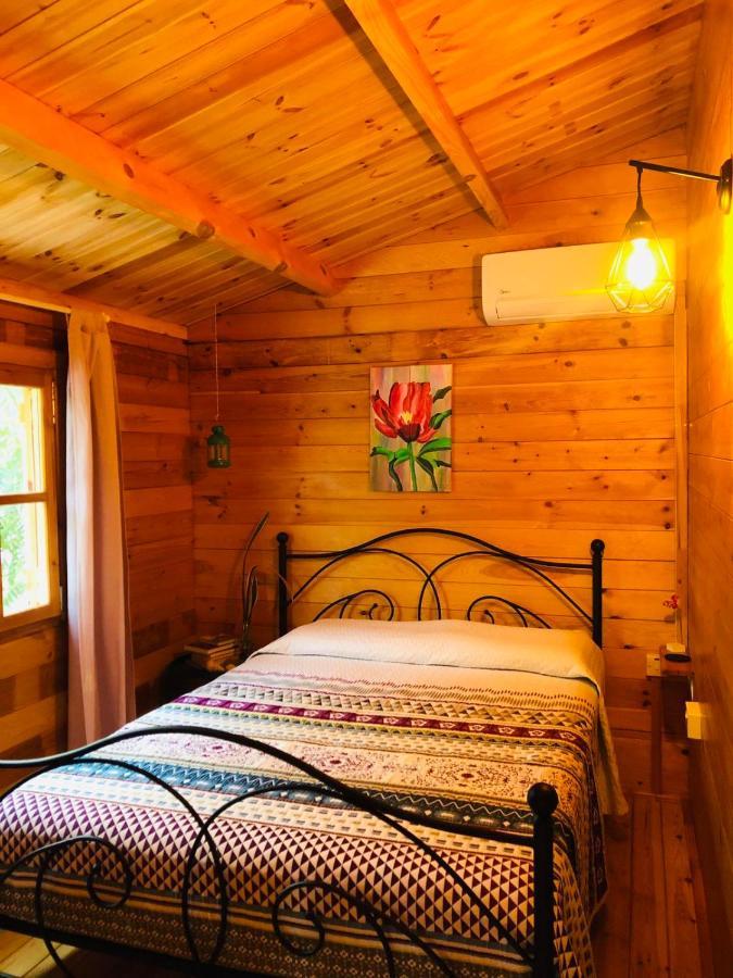 Villa Happy Glamping Cy à Agios Theodoros Extérieur photo
