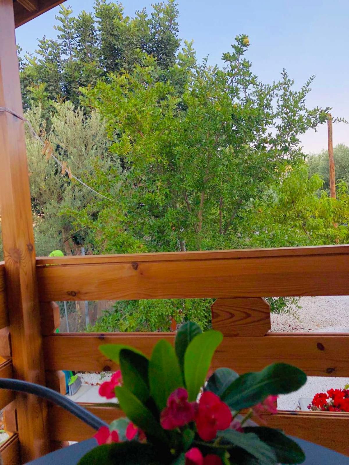Villa Happy Glamping Cy à Agios Theodoros Chambre photo