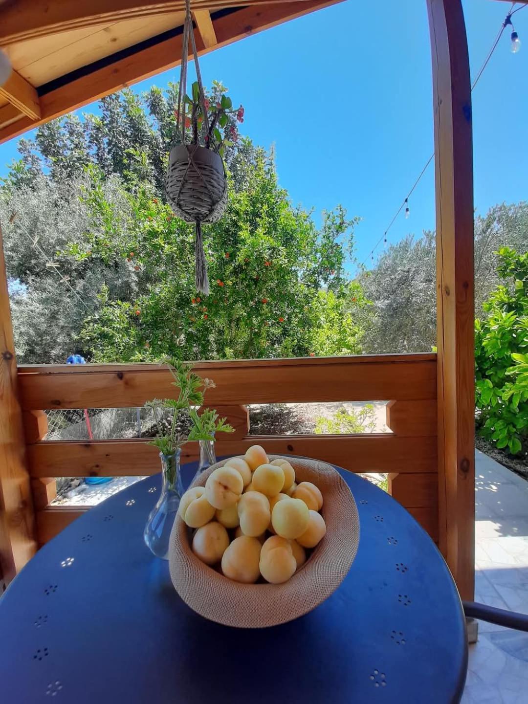 Villa Happy Glamping Cy à Agios Theodoros Extérieur photo